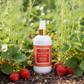 Garden Collection Room Mist