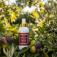 Garden Collection Room Mist