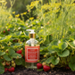 Garden Collection Hand Soap